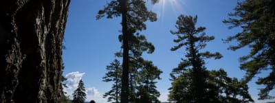 Rosseau Lake College, Rosseau, Ontario