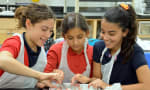 Lycée international de Calgary - Our Science program is hands on! 