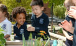 Kingsway College School - SK students explore the Learning Garden 