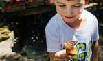 CGS (Children's Garden School) - JK butterflies released in the garden. 