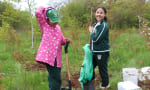 The Giles School - Tree Planting@Giles 