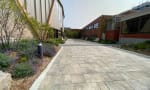 Lauremont School - Lower School Grove - Outdoor Learning Area 