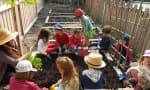 Waldorf Academy - Garden Plots Kindergarten and Grade 3
 