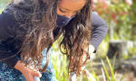 Westmont Montessori School - Working in the school learning garden 