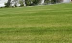 Astolot Educational Centre - Out of our back door is a baseball diamond, a soccer pitch and football goals. 