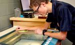 Hamilton District Christian High - Instructional resources 2