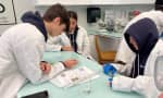 Brookes Westshore - Students study sciences in our fully equipped laboratory. 