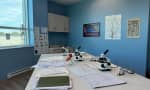 Westfield Secondary School - Science Lab 1