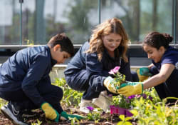 Dearcroft Montessori Trafalgar Crossing, Oakville, Ontario
