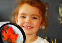 Ancaster Montessori School, Ancaster, Ontario