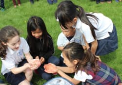 Mindtech Montessori Schools, Markham, Ontario