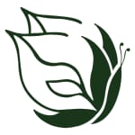 Second Nature Summer Camp logo