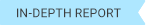 in-depth report