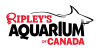 Ripley’s Aquarium of Canada Day Camps logo