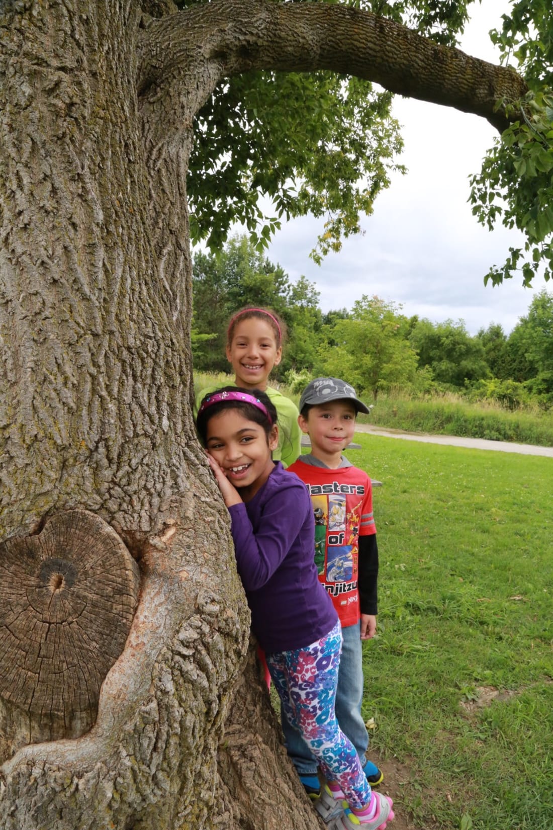 Kortright Summer Nature Day Camp Woodbridge Day Camp