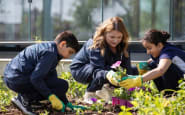 Dearcroft Montessori Trafalgar Crossing, Oakville, Ontario