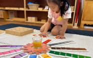 Montessori Academy of London, London, Ontario