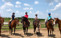 Meadowlarke Stables
