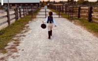 BR Equestrian
