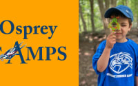 Armbrae Academy Camps & Summer Programmes