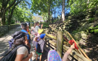 Seneca Hill Summer Camp