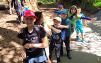 Stanley Park Ecology