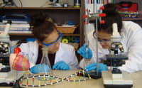 Quantum Academy, Richmond Hill, Ontario