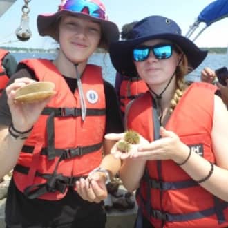 Get Ahead with Summer Credit Opportunities!