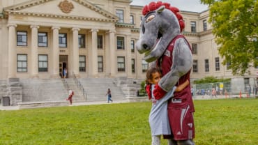 Gee-Gees Sports Camps, Culinary Colour Theme