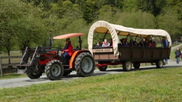 Timberline Ranch, Family Camps