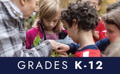 St. George's School of Montreal - profile photo