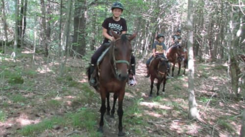 Rocky Ridge Ranch, Summer Day Camp 2026