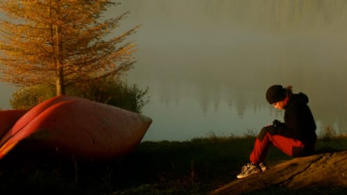 The Pine Project, Red Wolf Wayfinder Program