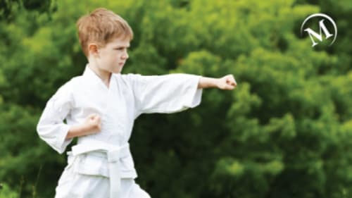 Mayfair Clubs, Lakeshore Spring Kids Karate Program