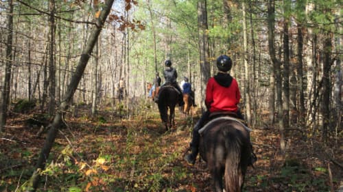 Rocky Ridge Ranch, Trail/Pony/Family Rides