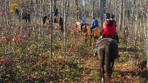Rocky Ridge Ranch, Christmas Day Camp