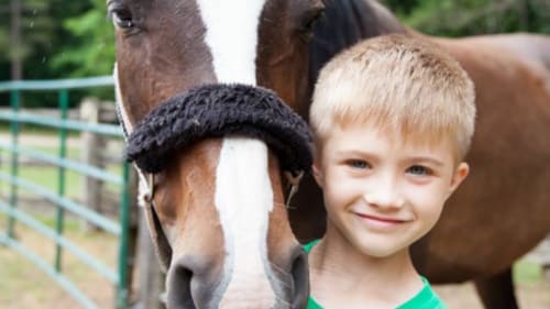 Camp Cherith - Ontario, Coed Camp - Equestrian