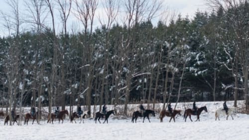 Teen Ranch, Trail Rides