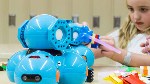 Branksome Camps, Junior Engineers