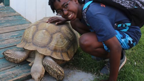 Safari Zoo Camp, Teen Camp