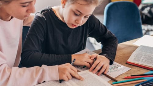 Le Petit Écolier French Language Centre, In-Person Private French Classes