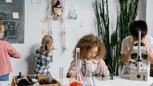 Le Petit Écolier French Language Centre, French After School Program