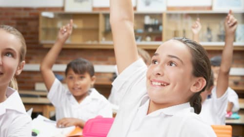 Le Petit Écolier French Language Centre, Animateurs French Classes - Big Kids (Ages 8-10)  - Fall 2022