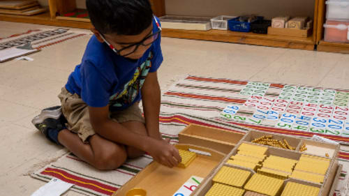 Rotherglen Summer Camp, Back to School Brush Up Grades 1 and 2