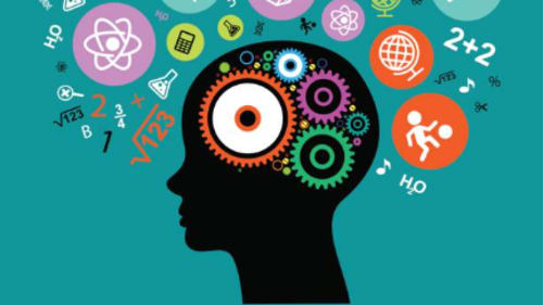 Brain Power Enrichment Programs, Grade 6-8 Think Like A Genius