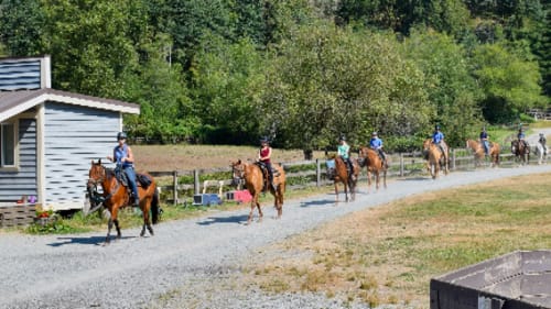 Timberline Ranch, Summer Junior Camps (Coed)
