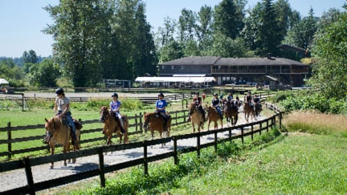 Timberline Ranch, Summer Middle Day Camp (Girls)