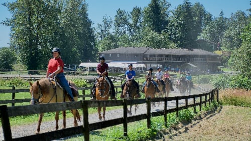 Timberline Ranch, Summer Teen Day Camp (Coed)