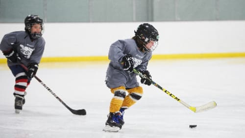 Gee-Gees Sports Camps, Varsity Boys Hockey (Specialized Skills) - Goalies/Skaters