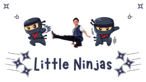 Conservatory of Dance and Music, Little Ninjas Camp 6-10yrs (Full day 9am-4pm) July 3rd - 7th